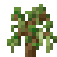 Swamp Sapling