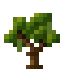 Vanilla Sapling