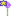 Allium(+G)