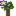 Dark Oak Sapling(+G)